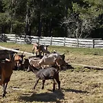 דירה Bucherhof אובשטייג