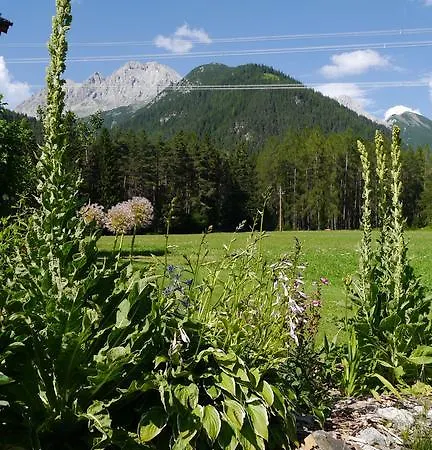 Bucherhof *