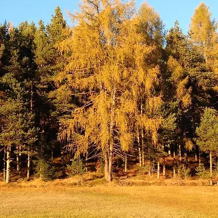 Appartamento Bucherhof