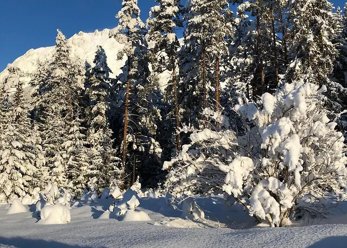 Apartament Bucherhof *