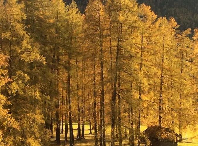 Bucherhof Apartament